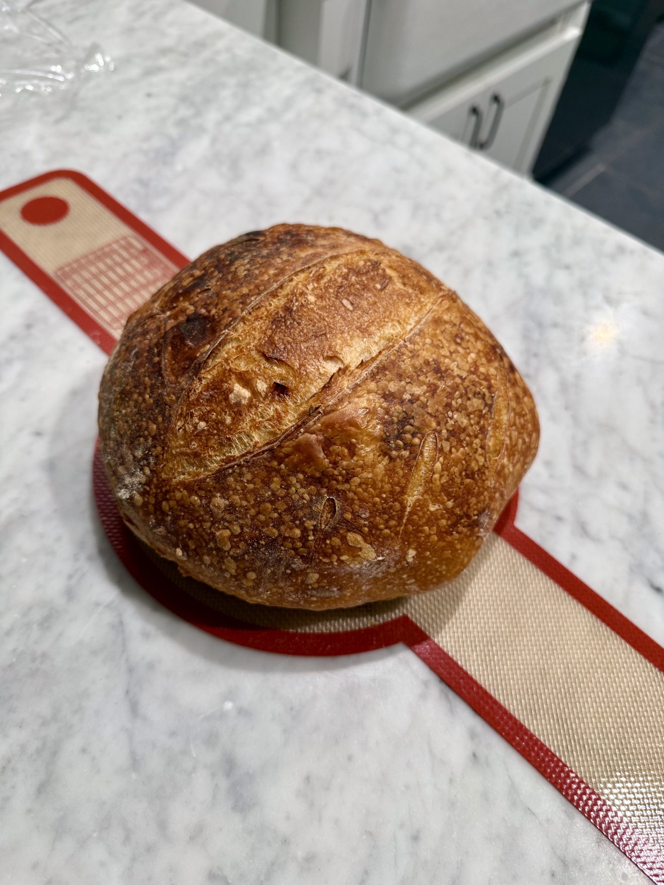 A crusty round loaf of bread